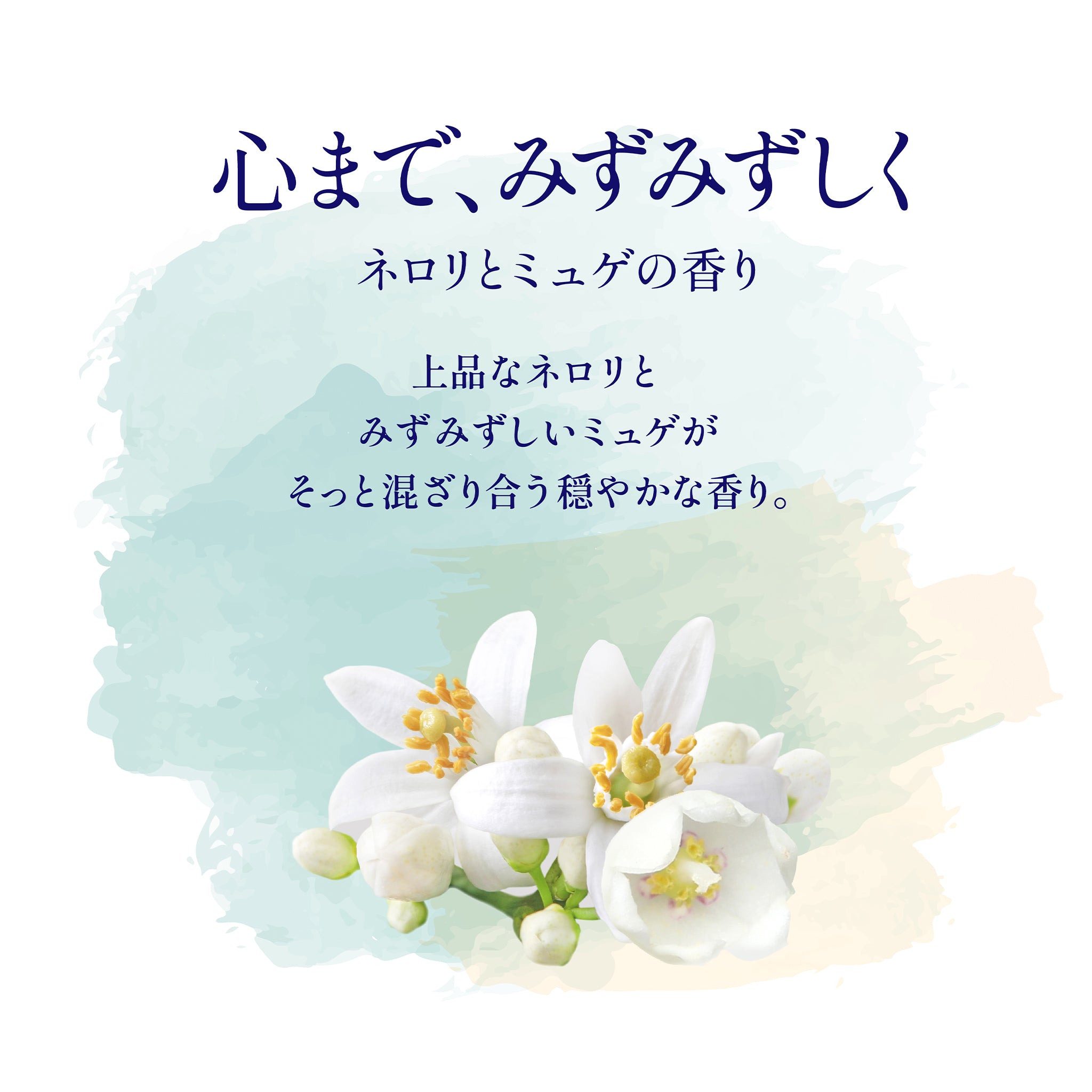 香り・睡眠・スリープハグ